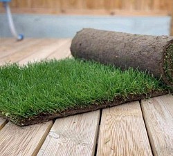 Gazon de plaquage en rouleaux naturel