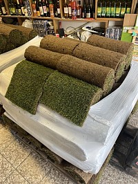 Gazon de plaquage en rouleaux naturel